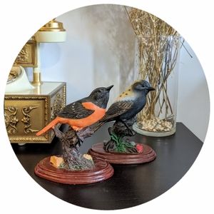 🌾Vintage bird Figurines